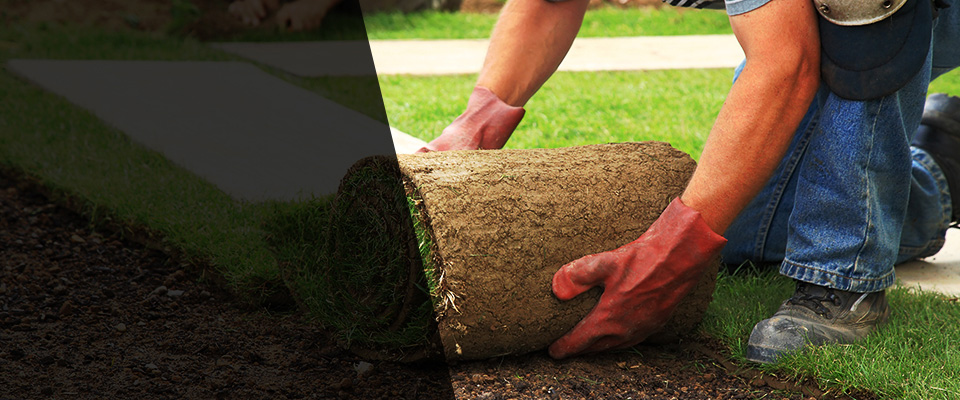 Sparks Glencoe Landscapers